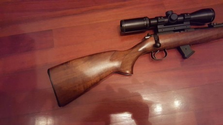 Buenas noches,

Pido opinión sobre una compra que tengo reservada, es una CZ 452 Luxe Still (still- cañon 01