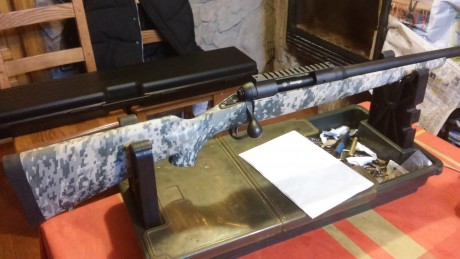 Vendo rifle de caza marca Savage modelo precision carbine .Calibre 308,con culata original camo acu digital.Disparador 02
