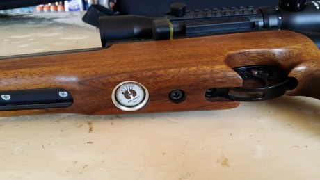 Pues eso que pongo a la venta mi Air Arms del 5.5 modelo TDR con su estuche maletin y el cargador de 10 01