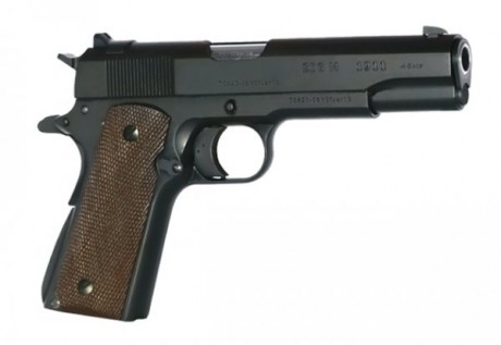 Hola:

¿Alguien sabe algo de estas pistolas?

https://www.trabzonsilah.com/esp/index2.php?p=tabancadetay&id=6 00