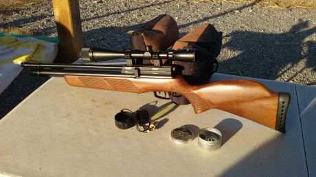 Gamo coyote, calibre 5,5 a 24j, es un bisturí a 50m, tiene aproximadamente medio año, la única falta que 01