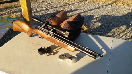 Gamo coyote, calibre 5,5 a 24j, es un bisturí a 50m, tiene aproximadamente medio año, la única falta que 00