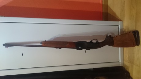Buenas.
Cambiaría mi rem semiautomático calibre 243.
Por otro semiautomático de la misma marca en calibre 02