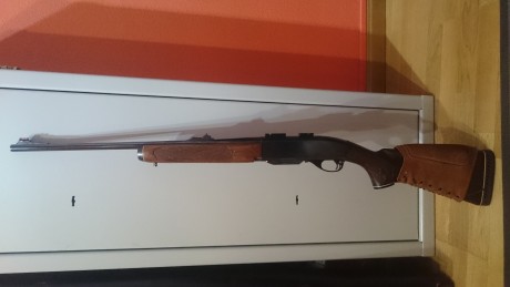 Buenas.
Cambiaría mi rem semiautomático calibre 243.
Por otro semiautomático de la misma marca en calibre 00