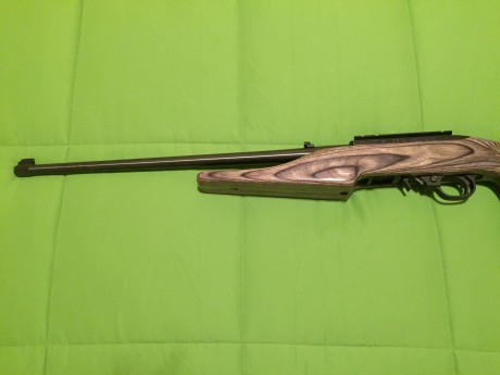 Cambio carabina Ruger 10/22 custumizada con culata Thumhole laminada, por visor Weaver T36 o similar, 01