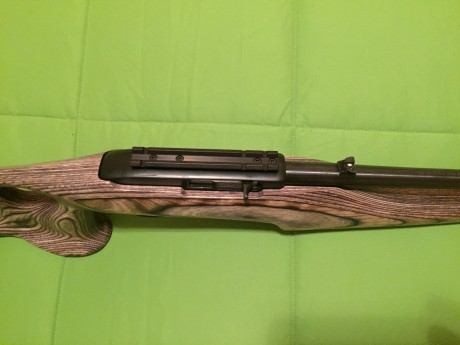 Cambio carabina Ruger 10/22 custumizada con culata Thumhole laminada, por visor Weaver T36 o similar, 10