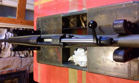 Vendo rifle de cerrojo en calibre 300 w mag.
Marca Bergara...modelo B14 hunter.
Culata color verde sintetica.
Cañon 00