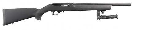 Hola compañeros,
alguien sabe donde se  puede comprar un Ruger 10/22 Tactical???
Antes lo tenia Arminse 00