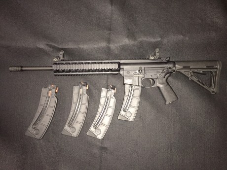 Vendo carabina Smith&Wesson MP15-22 Moe
Calibre: .22"LR
CUATRO cargadores originales S&W.
Con 02