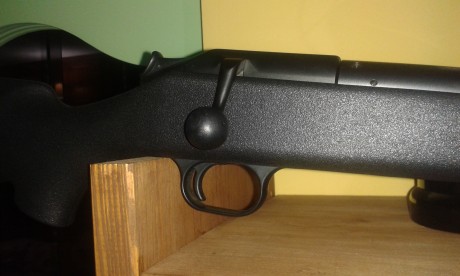 VENDO  este precioso Rifle Blaser R93 offroad, calibre 30/06  como nuevo.. Agrupa de miedo.
Regalo funda 02