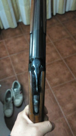 Buenas noches,me venden una superpuesta lanber el dueño dice que es la hunter tiene la bascula negra con 01