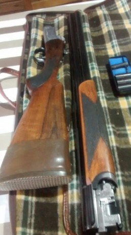 Benelli Urbino.
Cañón de 71 cm y choques intercambiables. 
Un gatillo con selector de tiro. 
Escopeta 02