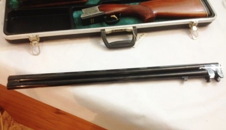 Vendo mi colección de armas completa incluido armero.

Armero: 8 armas con visor 140 x 52 x 32 cm, sin 72