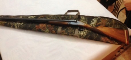 Vendo mi colección de armas completa incluido armero.

Armero: 8 armas con visor 140 x 52 x 32 cm, sin 110