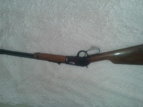 Hola buenas, vendida

Vendo este precioso winchester mod 9422 en calibre 22 magnum, 10 cartuchos de capacidad.
Estado 11
