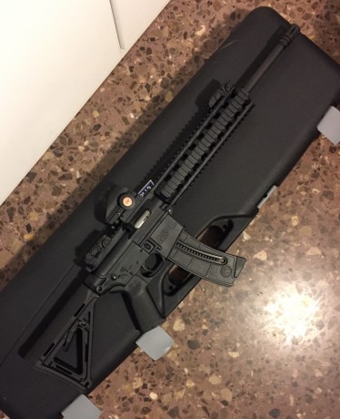 Vendo carabina Smith&Wesson MP15-22 Moe
Calibre: .22"LR
CUATRO cargadores originales S&W.
Con 00