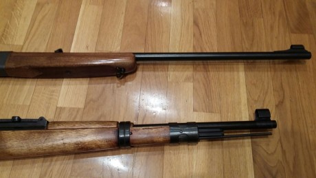 Hola:
La Norinco 150€ y la Anchütz 250€, envio por cuenta del comprador. NorincoVENDIDA  y ahora Anchütz 00