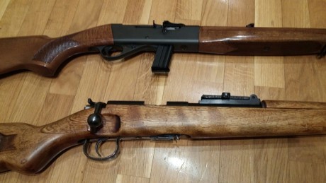Hola:
La Norinco 150€ y la Anchütz 250€, envio por cuenta del comprador. NorincoVENDIDA  y ahora Anchütz 11