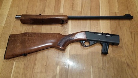 Hola:
La Norinco 150€ y la Anchütz 250€, envio por cuenta del comprador. NorincoVENDIDA  y ahora Anchütz 10