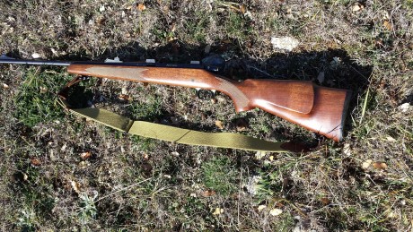 Se vende rifle de cerrojo marca Remington, modelo 700  ADL, calibre 30-06. (Opción con monturas Apel de 02