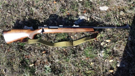 Se vende rifle de cerrojo marca Remington, modelo 700  ADL, calibre 30-06. (Opción con monturas Apel de 01