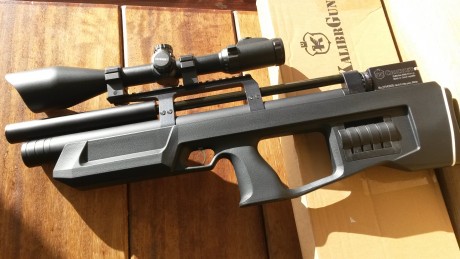 Vendo pcp Kalibr Cricket compacta. Calibre 5,5. Tiene 6 meses desde que la compré en mi armería. Impoluta. 00