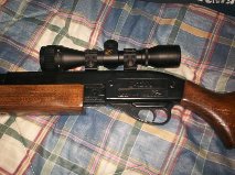 vendo carabina Gamo G1200  recien restaurada, juntas nuevas, engrase interior metal pintado, maderas barnizadas 02