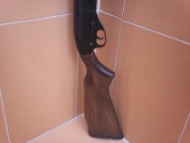 vendo carabina Gamo G1200  recien restaurada, juntas nuevas, engrase interior metal pintado, maderas barnizadas 00