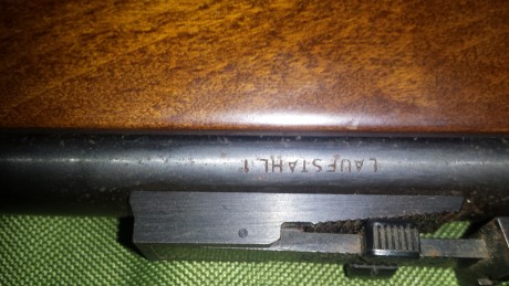 Buenos dias , vendo carabina Voere cal. 22 l.r con dos cargadores por 300 eur. Guiada en E 20