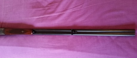 Escopeta plana marca Trust cal. 410 magnum (12mm) madera y metal en perfecto estado, muy poco uso.Se puede 00