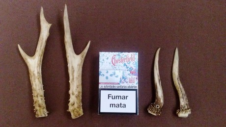 Vendo estas dos parejas de cuernos, de pequeño tamaño , adecuadas para adorno de cuchillos, colgantes, 01