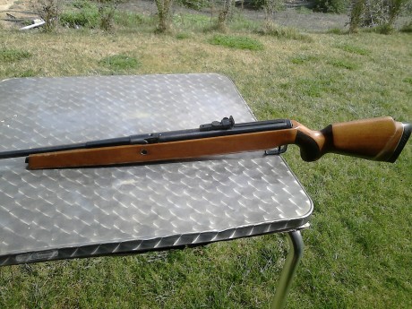 Hola llevó poco tiempo en este fofo y quiera haceros una pregunta tengo una carabina marca diana 50 del 30