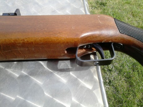 Hola llevó poco tiempo en este fofo y quiera haceros una pregunta tengo una carabina marca diana 50 del 42