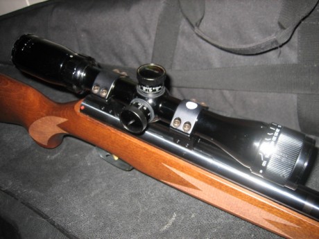 Pues eso compañeros , vendo mi Hw30s Luxus + Bushnell sportman 3-9 x32 con retícula multi X ,Monturas 00