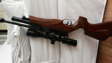 Vendo pcp Bsa Ultra calibre 5,5 Nueva. Tiene una par de semanas. Es monotiro y se carga con el sistema 00