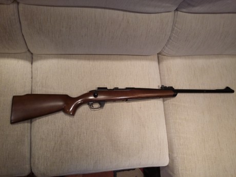 VENDO Podium CO2 Riffle. 42