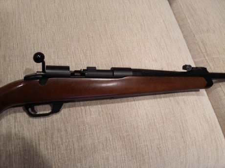 VENDO Podium CO2 Riffle. 41