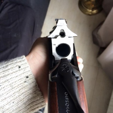 Me gustaria cambiarlo por un 17hmr,un 222,un 22-250..No descartaria otros rifles de calibre mayor a poder 00