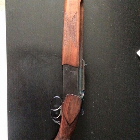 Me gustaria cambiarlo por un 17hmr,un 222,un 22-250..No descartaria otros rifles de calibre mayor a poder 11