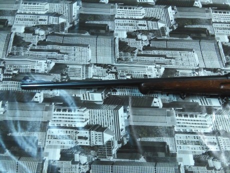 Hola. Se vende Santa Barbara, Coruña A, cal. 308, madera regular, metales perfectos. 350€.
Esta en Madrid 01