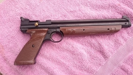 - En venta Crosman 1377 en calibre 4,5. En estado impecable. Se encuentra en la provincia de Bcn, su precio: 02