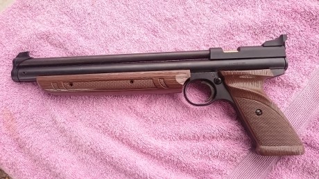 - En venta Crosman 1377 en calibre 4,5. En estado impecable. Se encuentra en la provincia de Bcn, su precio: 01