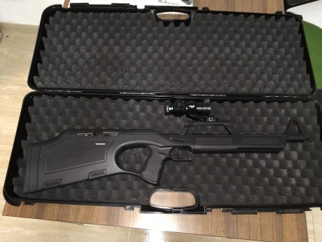 Se vende carabina Walther G22 del calibre 22 semiautomática, con dos cargadores. Licencia tipo "E". 01