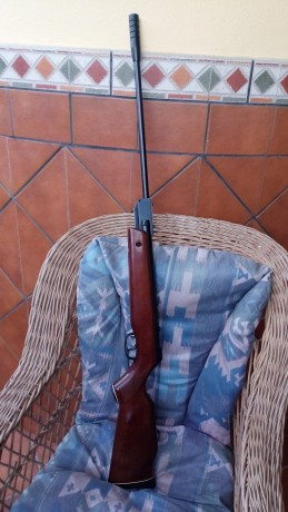 Vendo carabina Hunter 2000, aire comprimido, calibre 4,5. Impecable, una carabina clásica del año 91. 02