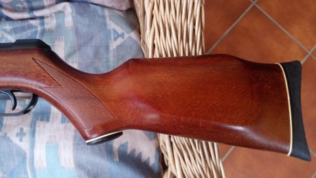 Vendo carabina Hunter 2000, aire comprimido, calibre 4,5. Impecable, una carabina clásica del año 91. 00