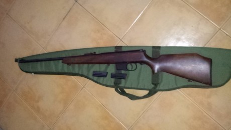 Cambio carabina Erma Wenke del 22( replica de la carabina del ejercito americana M1 de calibre 30 ) y 00