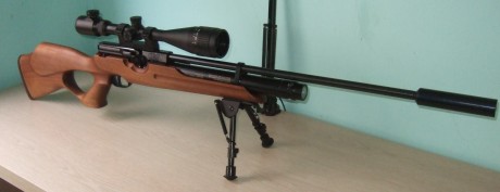 Hola, pues eso para hacer caja para otros proyectos,  vendo mi Hw100T de cañon macizo de 60cm.
La vendo 00