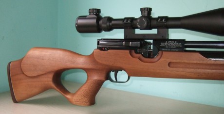 Hola, pues eso para hacer caja para otros proyectos,  vendo mi Hw100T de cañon macizo de 60cm.
La vendo 11