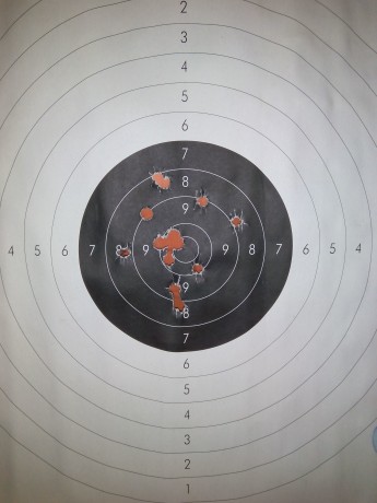 Saludos a todos . Tengo un rifle "inline" cal 50 , y he estado usando hasta ahora sabots para 12