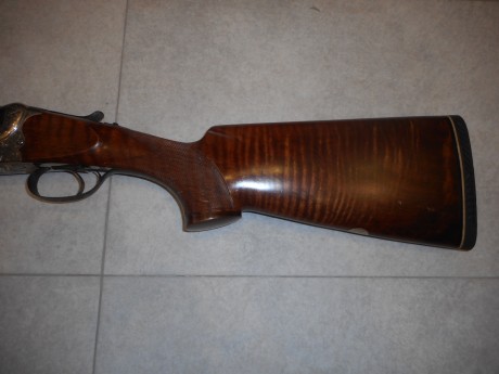 Escopeta Choy (armas rico godoy) una escopeta superpuesta de altisima calidad. Esta hecha a medida para 12